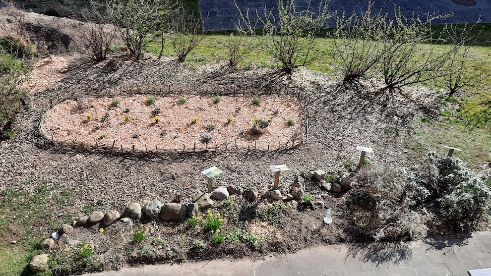 Garten01