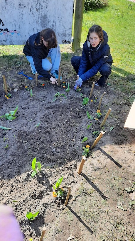 Garten07